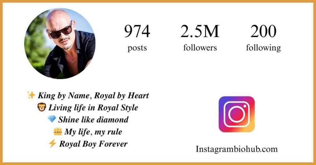 Best Bio For Instagram For Boys