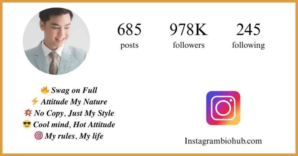 Bio For Instagram For Boy Attitude