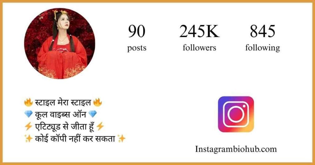 Bio For Instagram For Boy Attitude In Hindi