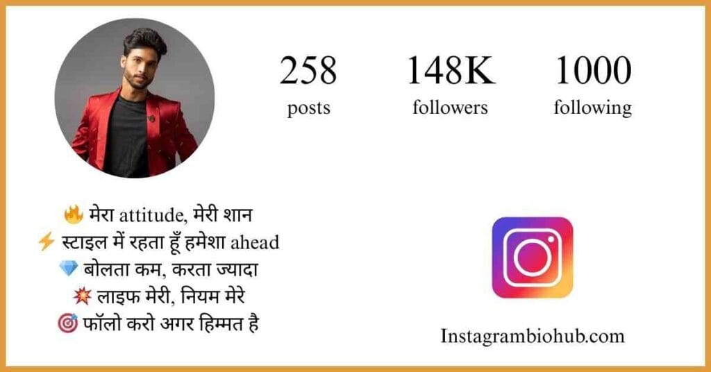 Bio For Instagram For Boy Attitude In Hindi
