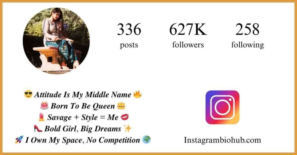 Bio For Instagram For Girls Attitude