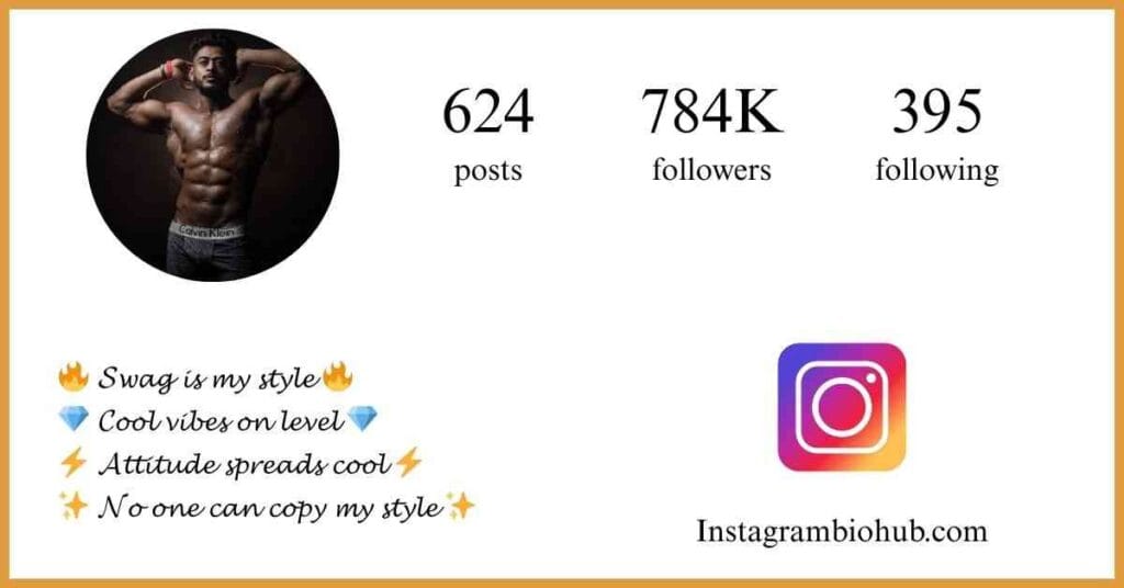 Instagram Attitude Bio For Boys