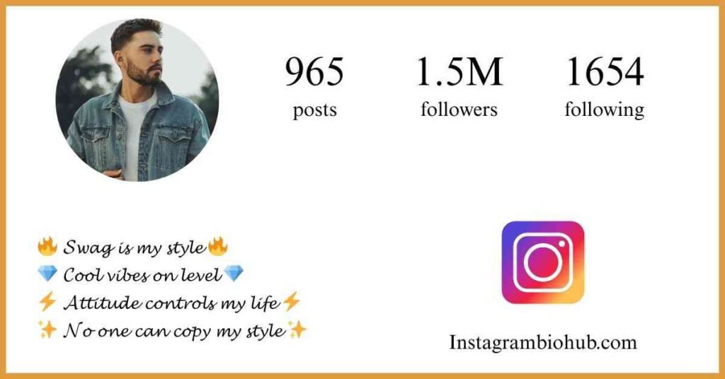 Instagram Bio Attitude Boy