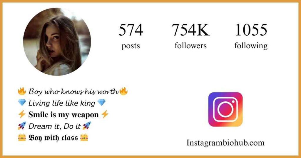 Instagram Bio For Boy In Stylish Font