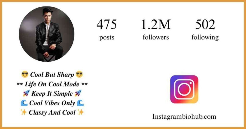 Instagram Bio For Boys