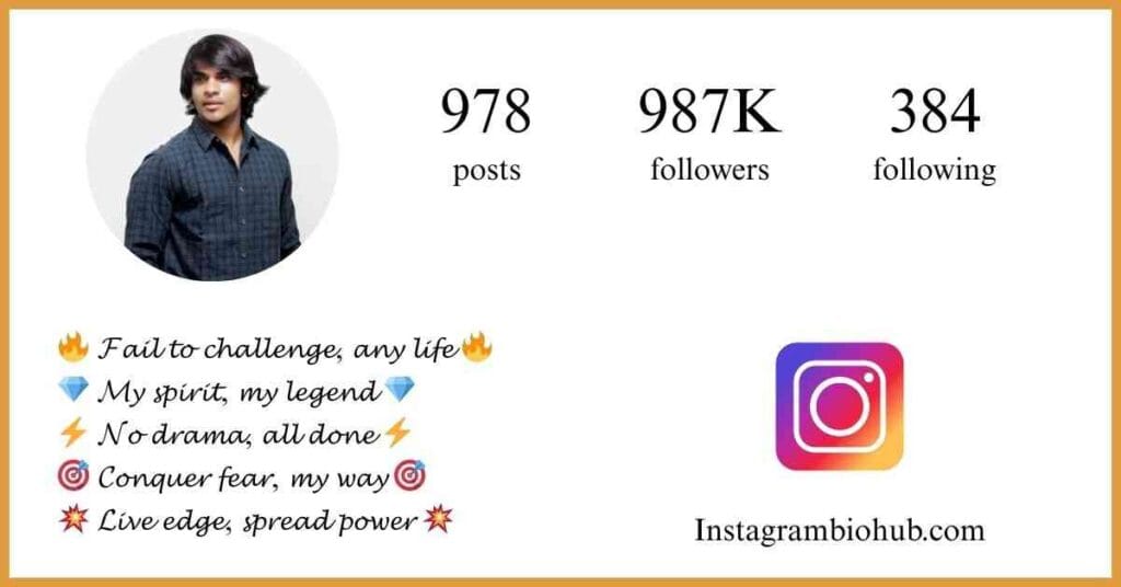 Instagram Bio For Boys Attitude