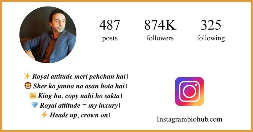 Instagram Bio For Boys Attitude