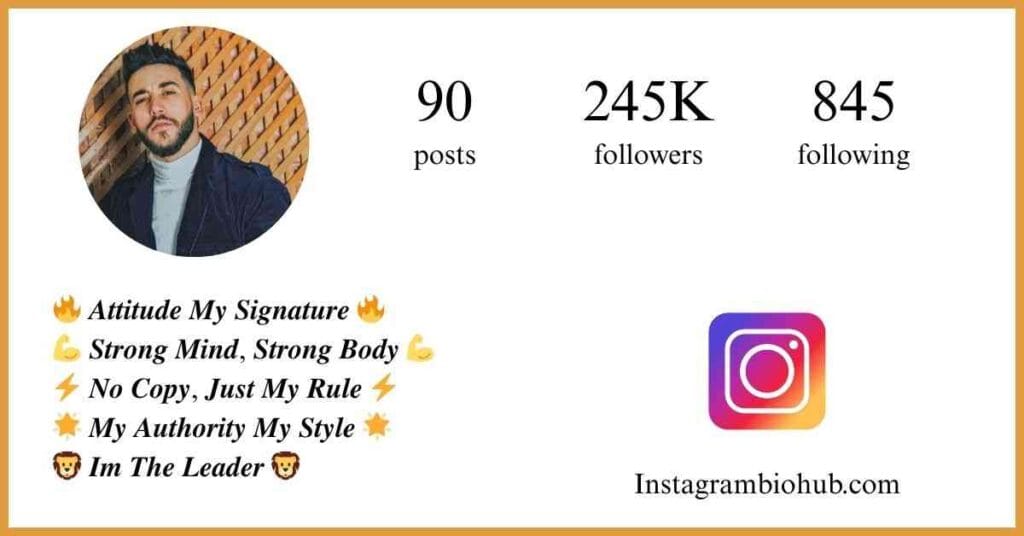 Instagram Bio For Boys Attitude