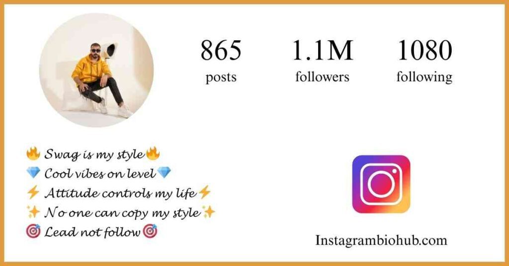 Instagram Bio For Boys Attitude In English