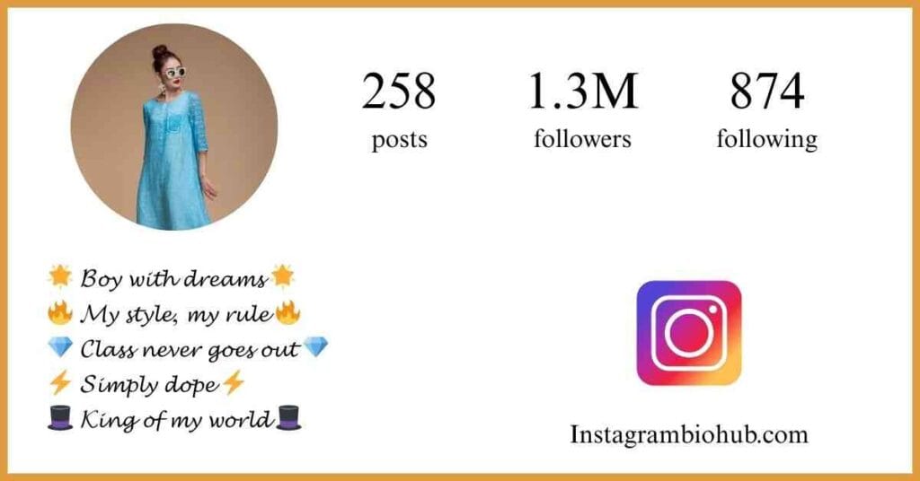 Instagram Bio For Boys Stylish Font