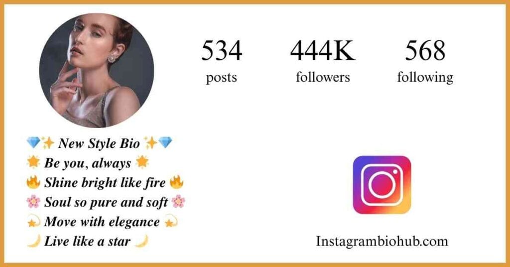Instagram Bio New Style