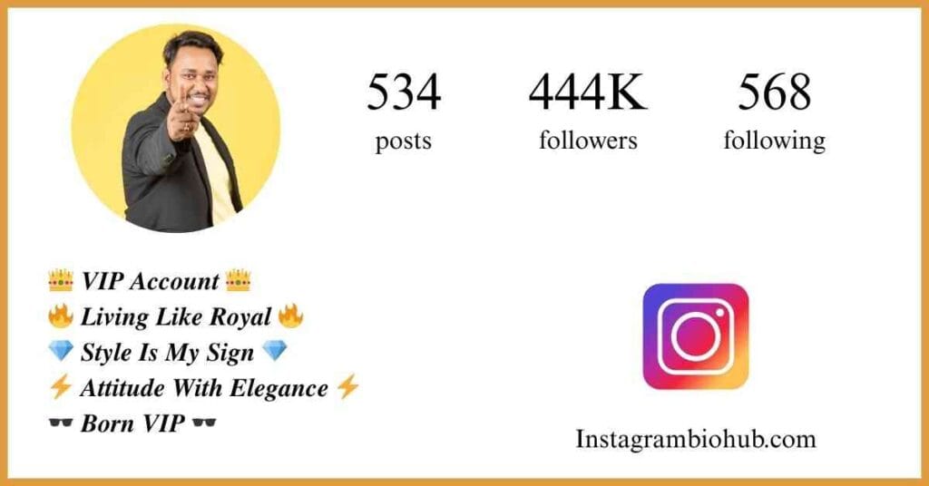 Instagram Bio VIP Account