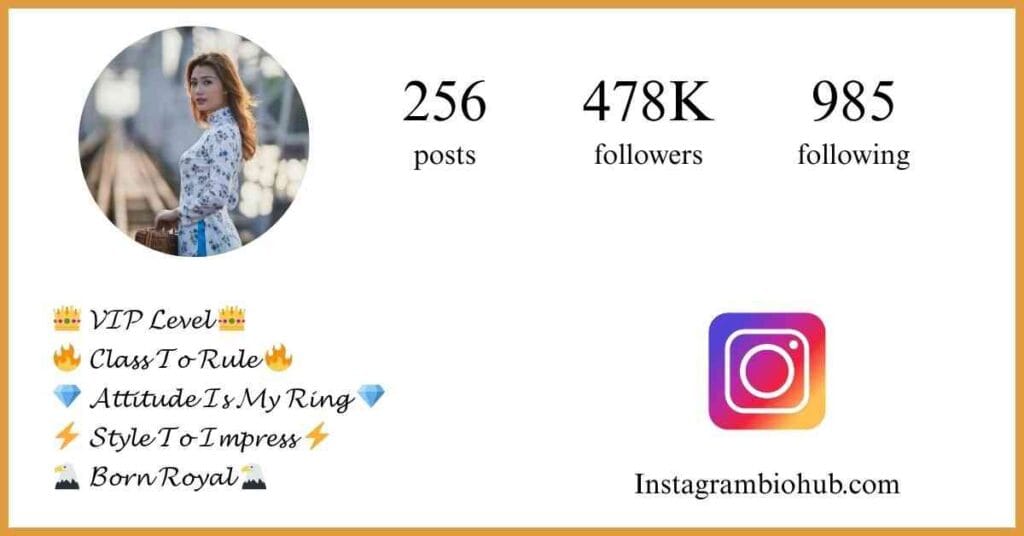 Instagram VIP Account Bio