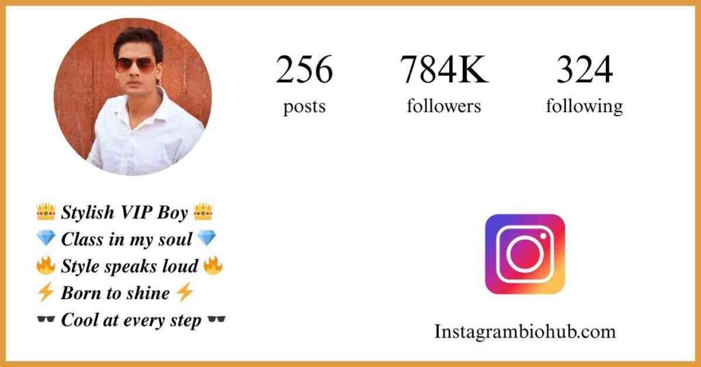 Instagram VIP Bio Stylish