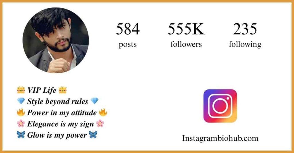 Instagram VIP Bio Stylish Font