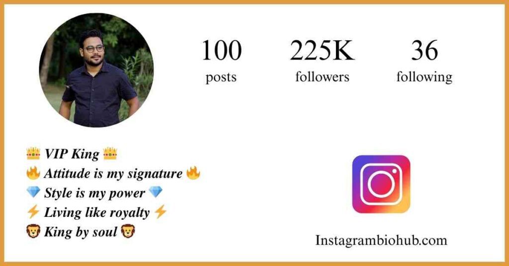 Instagram VIP Bio Stylish Font For Boy