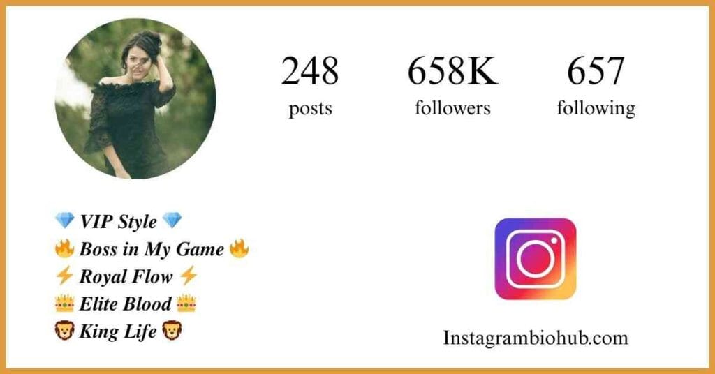 VIP Account Bio Instagram