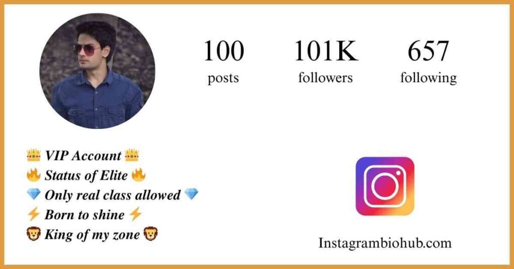 VIP Account Instagram Bio