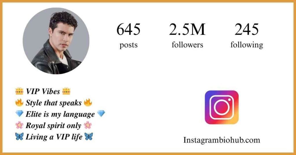 VIP Bio Instagram