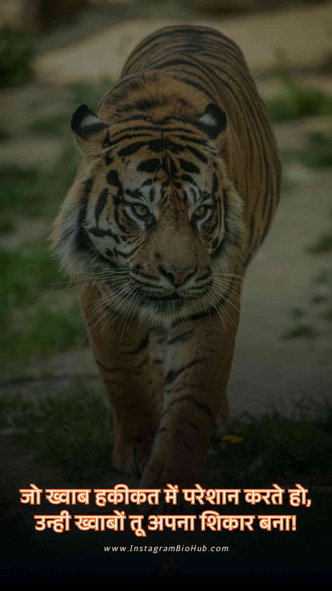 Motivation Shayari In Hindi.5