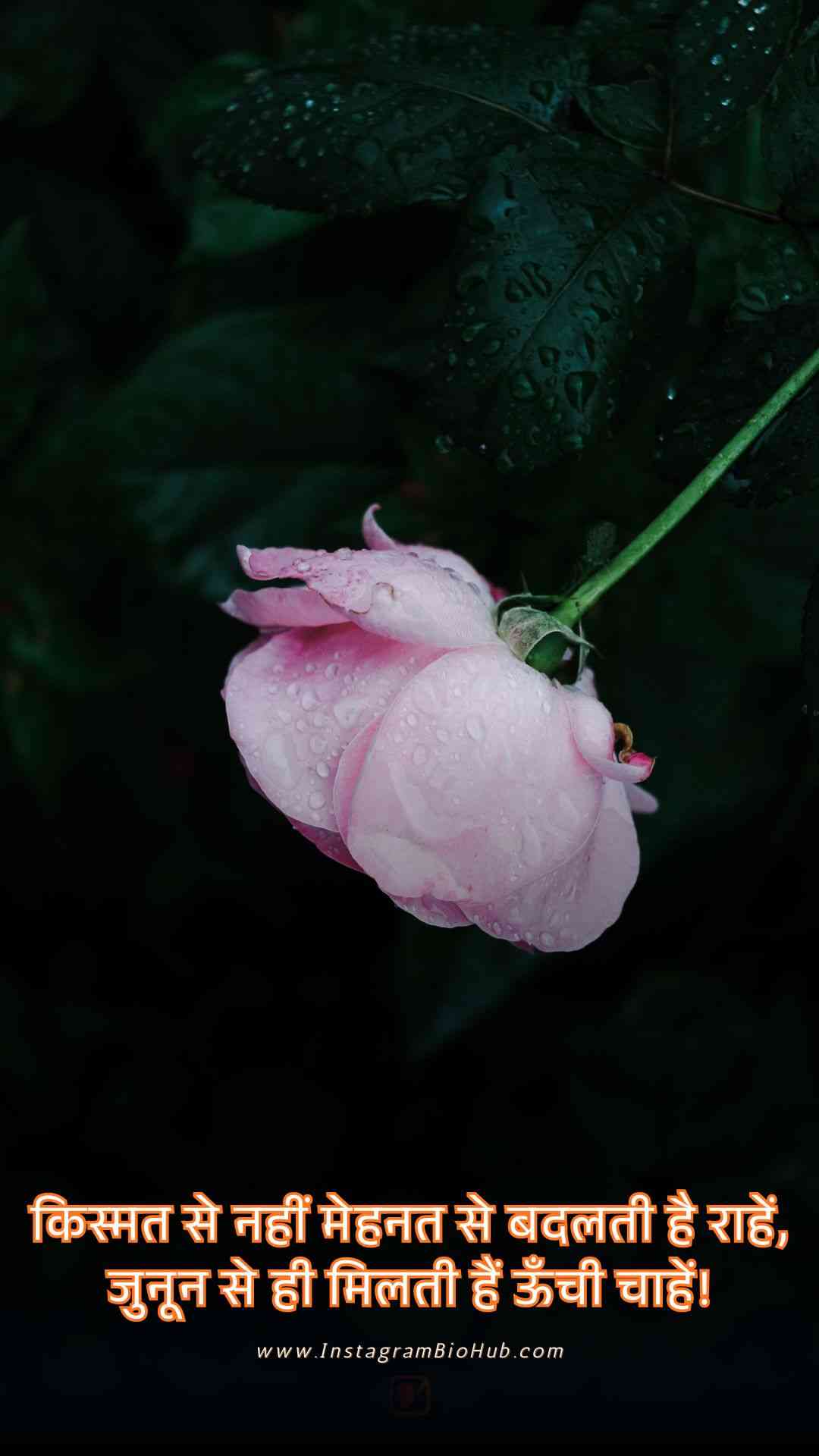 Sad Motivational Shayari.2