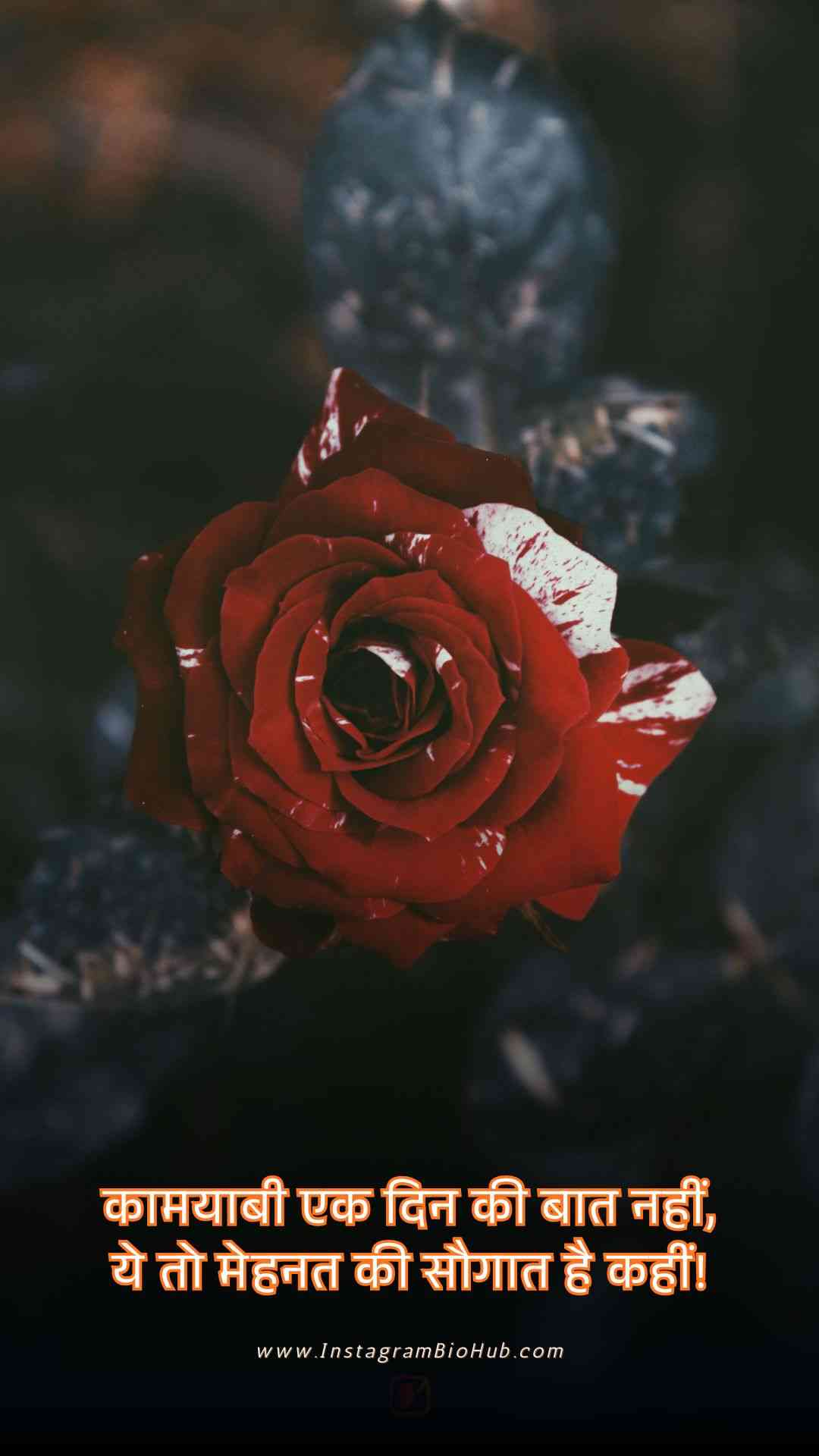 Sad Motivational Shayari.3