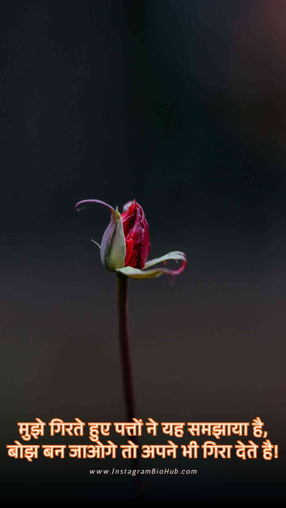 Sad Motivational Shayari