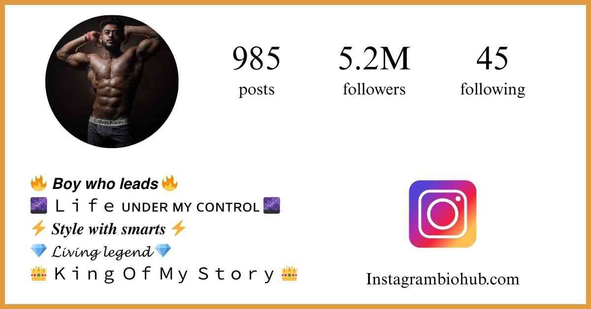 Instagram Bio For Boys Stylish Font | VIP Bio Stylish Bio